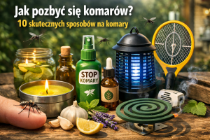 Jak pozbyć się komarów