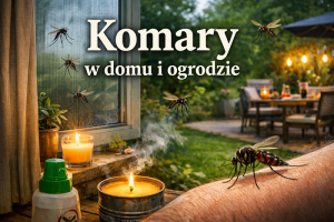 Komary w domu i ogrodzie