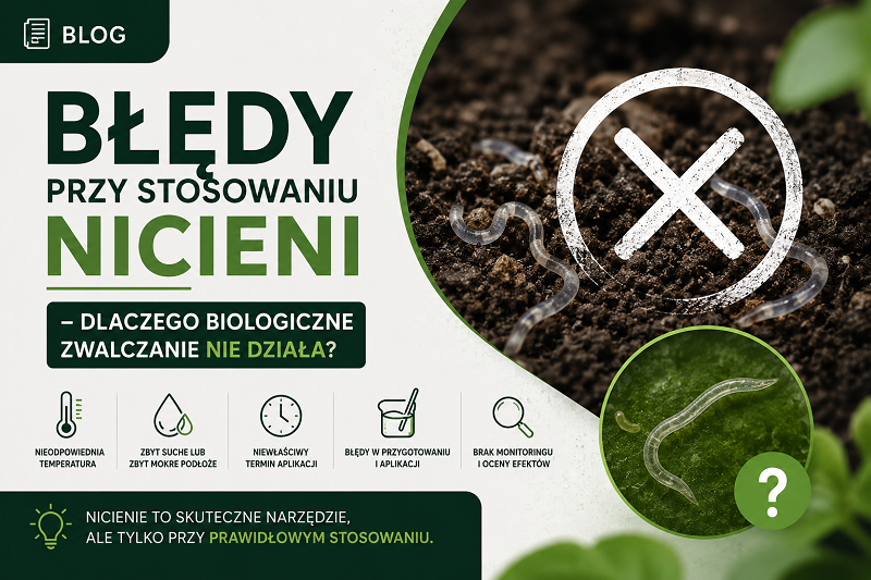 Błędy przy stosowaniu nicieni