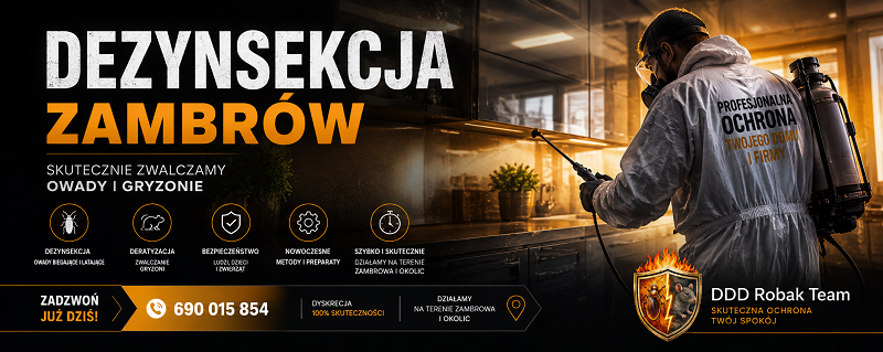 Dezynsekcja Zambrów – skuteczne zwalczanie pluskiew, prusaków i karaluchów 24h
