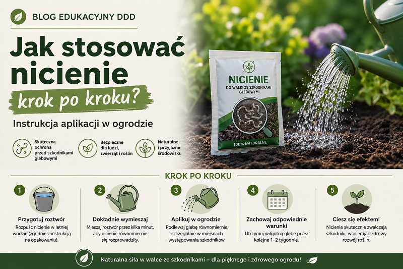 Jak stosować nicienie