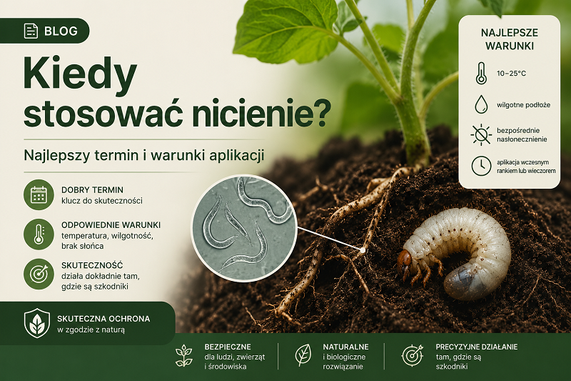 Kiedy stosować nicienie