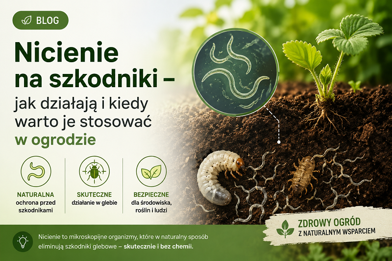 Nicienie na szkodniki