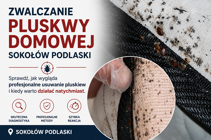 Zwalczanie pluskwy domowej Sokołów Podlaski
