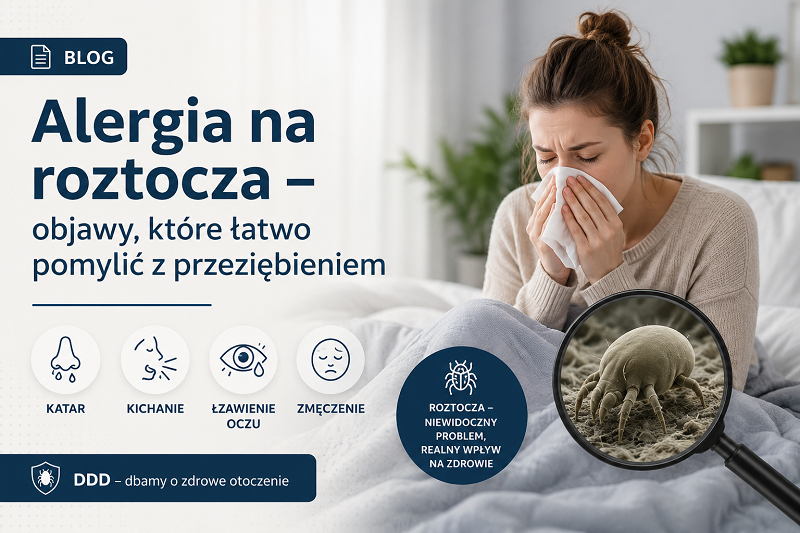 Alergia na roztocza – objawy
