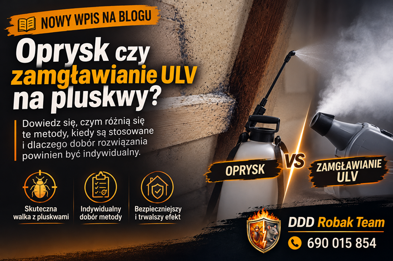 Oprysk czy zamgławianie ULV na pluskwy