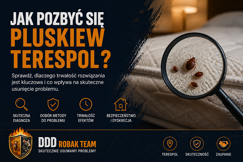 Jak pozbyć się pluskiew Terespol