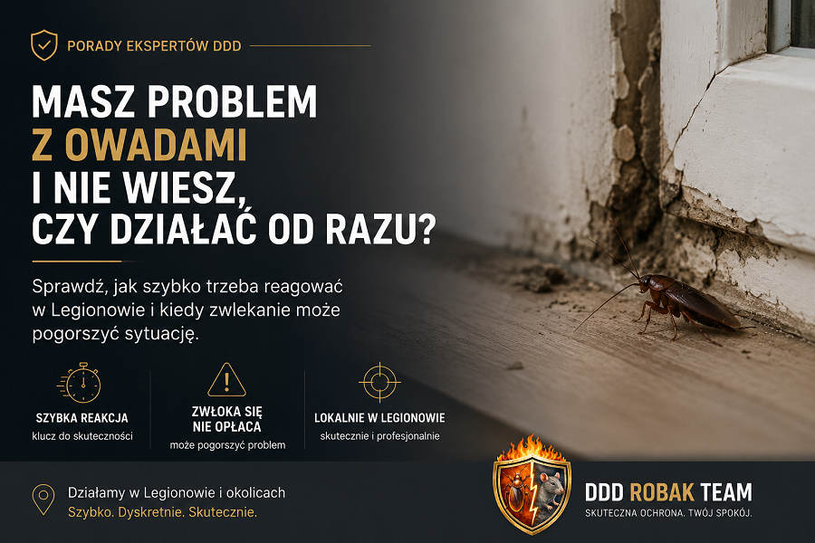 Jak szybko trzeba reagować Legionowo