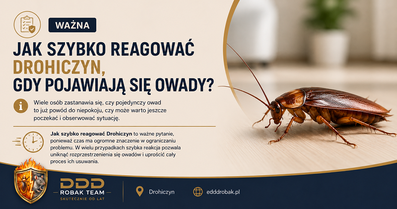 Jak szybko reagować Drohiczyn