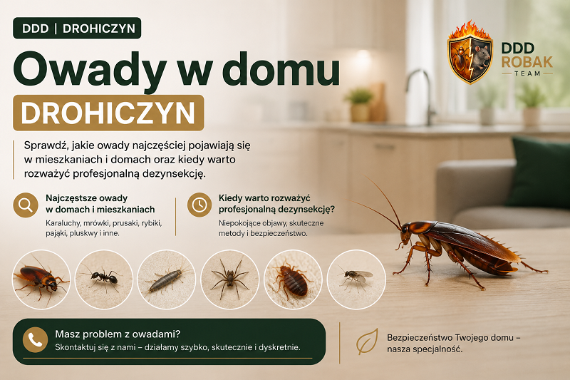 Owady w domu Drohiczyn