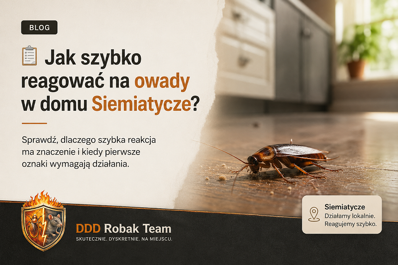 Jak szybko reagować na owady w domu Siemiatycze