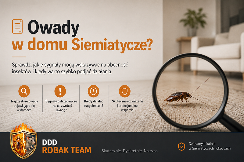 Owady w domu Siemiatycze